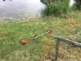 IMG 1980