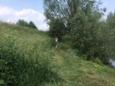 IMG 1981